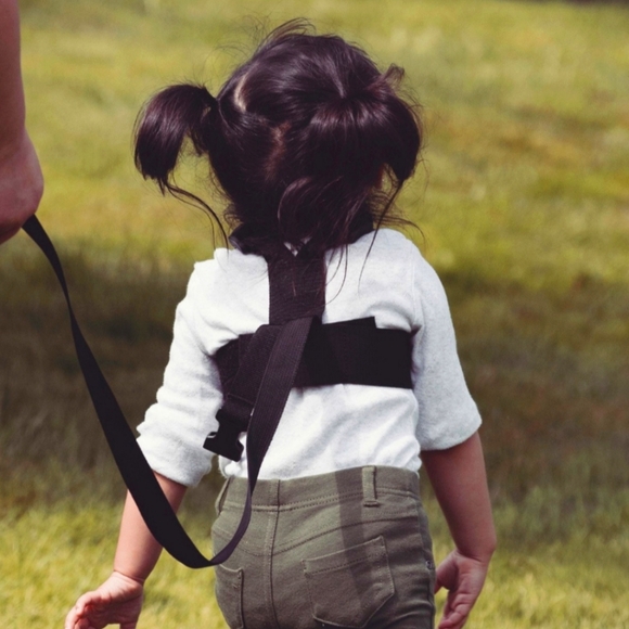 Diono Toddler Safety Harness - Picture 3 of 4